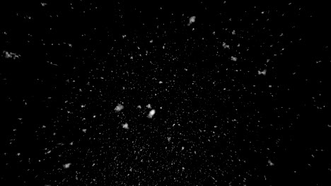 falling snow animation on black background, seamless loop