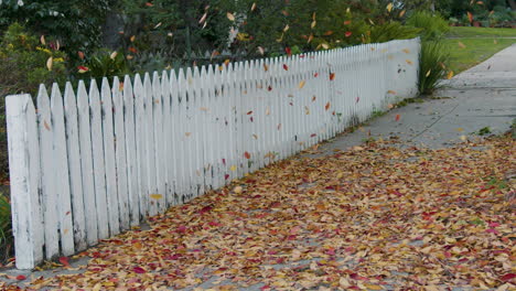 autumn leaves on sidewalk in front of white picket fence with falling leaves