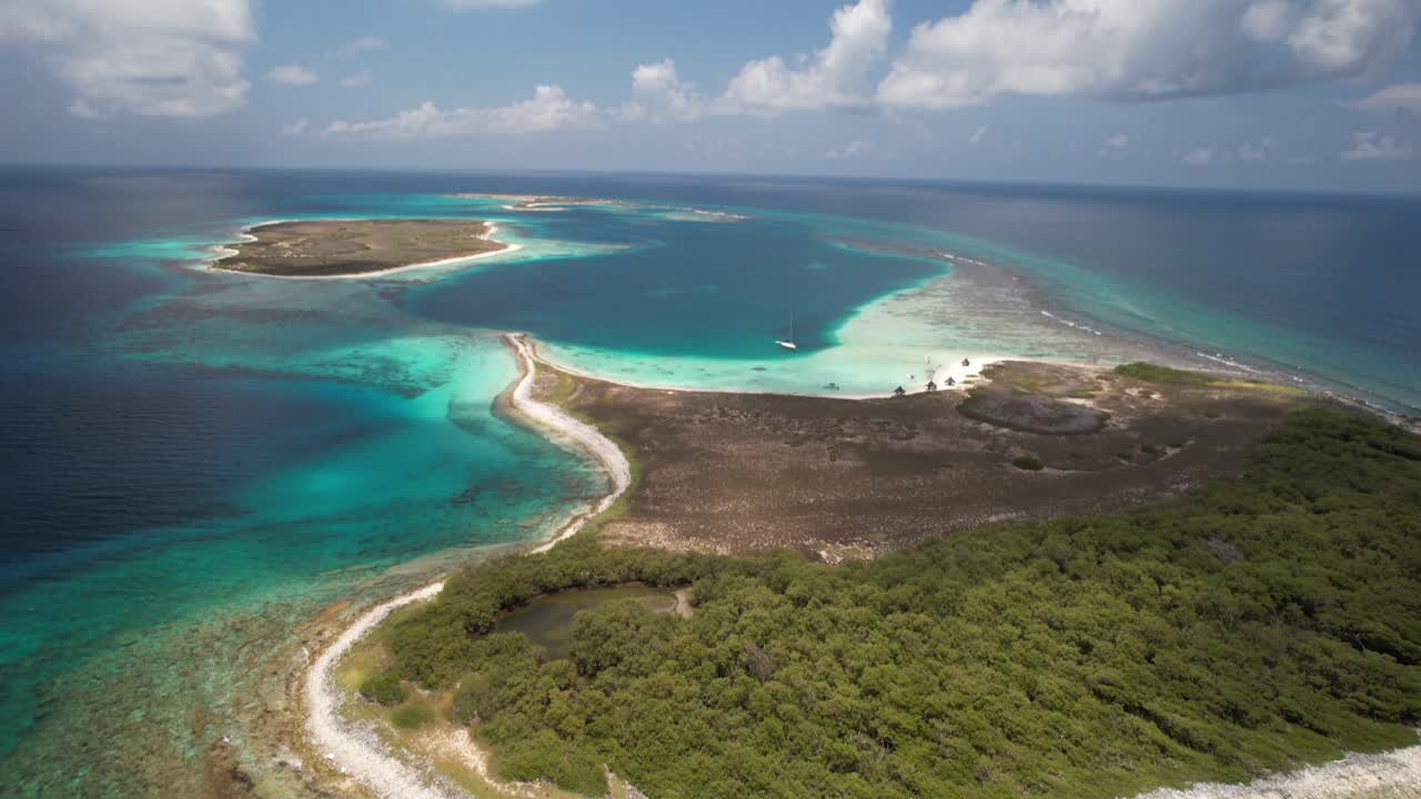 Aerial View of Tropical Island Coastline