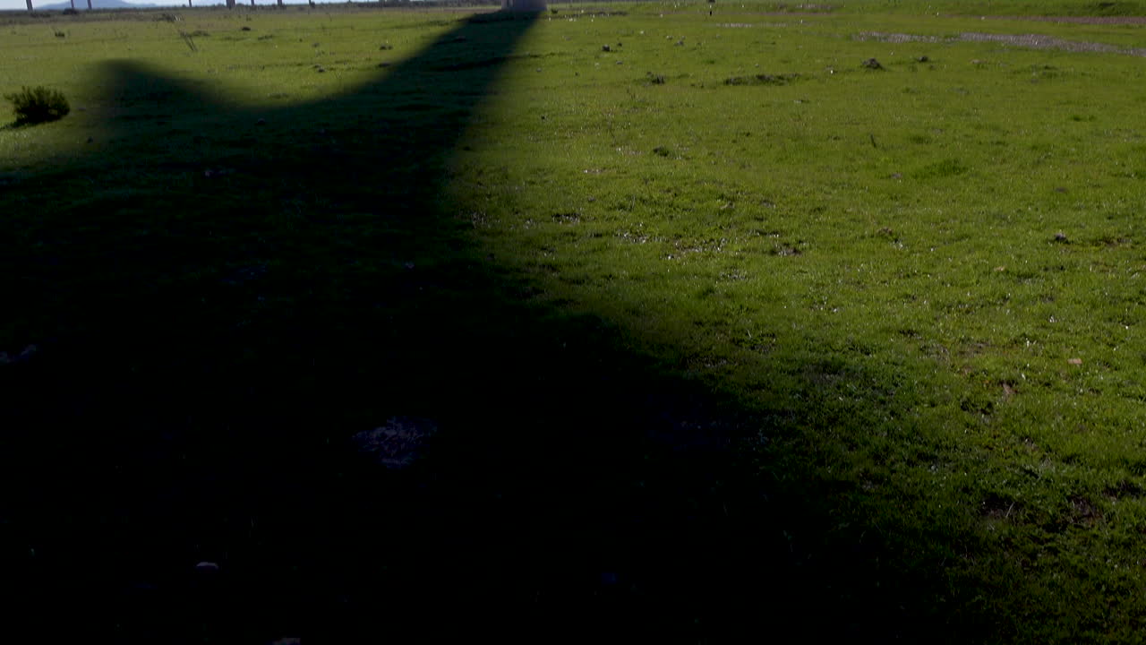 Wind turbine farm silhouette of Turbine