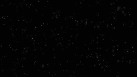 big white snowflakes chaotically flying on black background and falling down.