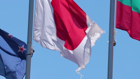 japanese and other flags waving in the wind