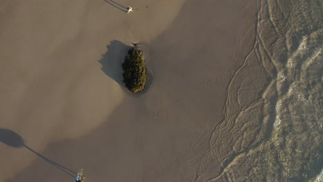 4k-Top-view-drone-shot-of-surfer-walking-on-a-beach-with-surfboard-during-sunset-at-Byron-Bay,-Australia