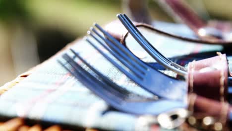 Forks-arranged-on-a-table-