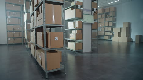 warehouse storage with cardboard boxes on metal shelves