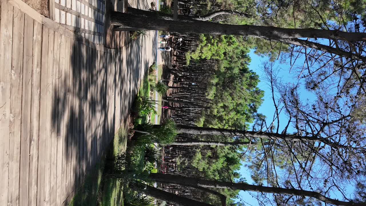 Un sentiero panoramico attraverso una foresta