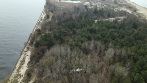 Waldlandschaft-Im-Naturschutzgebiet-Mewia-Lacha-Auf-Der-Insel-Sobieszewo,-Danziger-Bucht-In-Der-Ostsee,-Polen