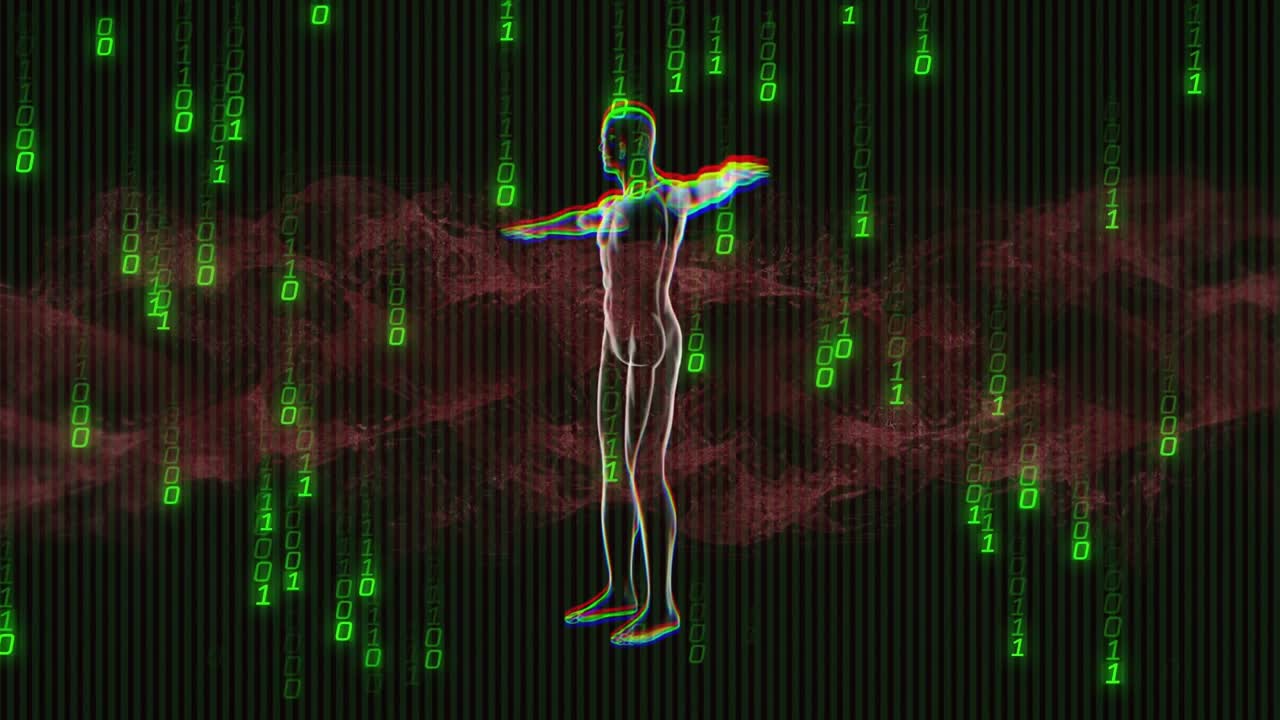 Neon menselijk silhouet roteert door profielen na datapuls, binaire regen toont systeem synchronisatie