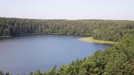 peaceful nature scenery from above of a river in the middle of the forest