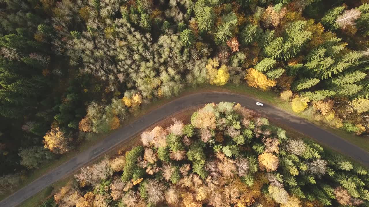 Aerial view of a car driving an empty road trough a colorful autumn forest