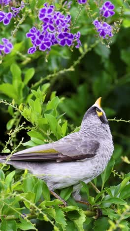 a bird moves through greenery with purple flowers.