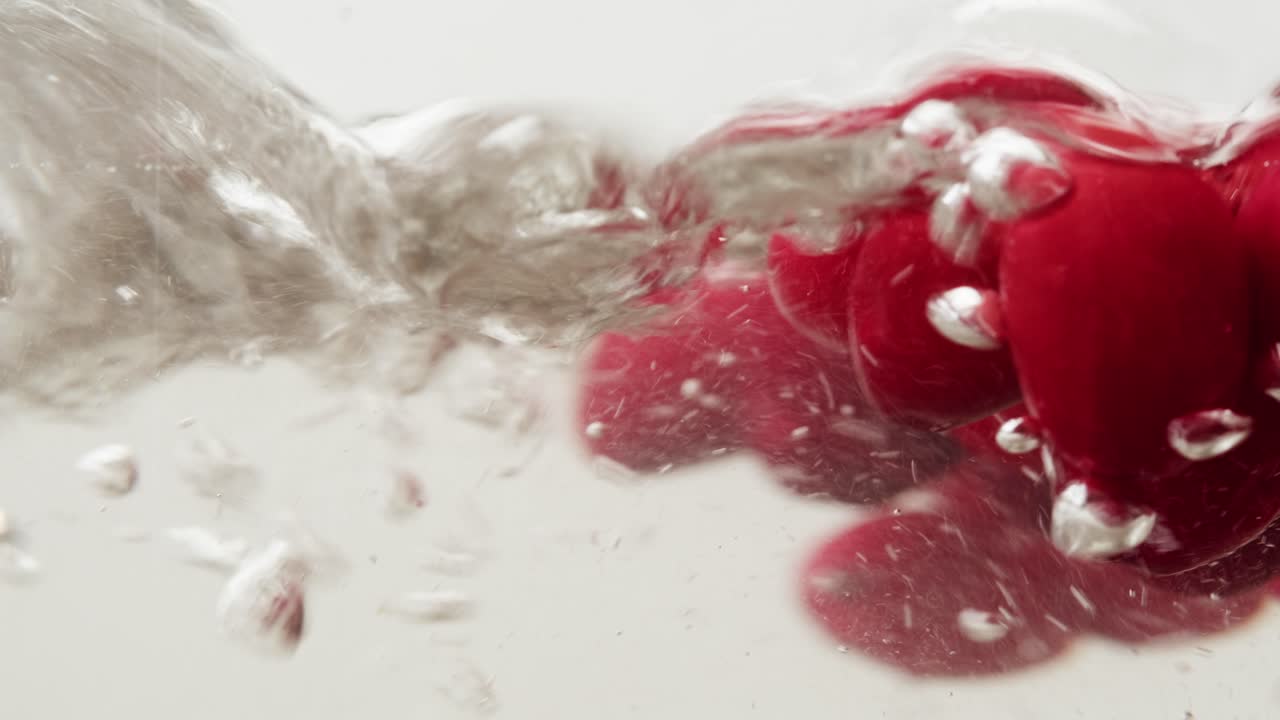 차를 위해 눈에 얼어붙은 크랜베리, 겨울 공원에서 크랜베리의 배경 클로즈업, 얼음 냉장고 매크로