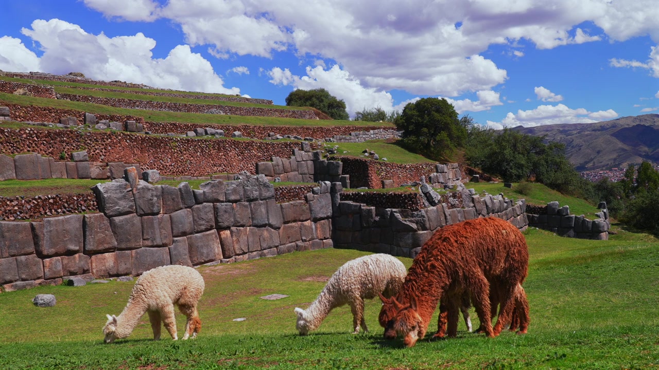 Cusco Saqsaywaman, città Inca di Cuzco, Perù, paesaggio urbano, pomeriggio soleggiato nella stagione delle piogge, nuvole, cielo blu, Ande peruviane, edifici del quartiere sul fianco della montagna, Provincia di Anta, Plaza de Armas, statico