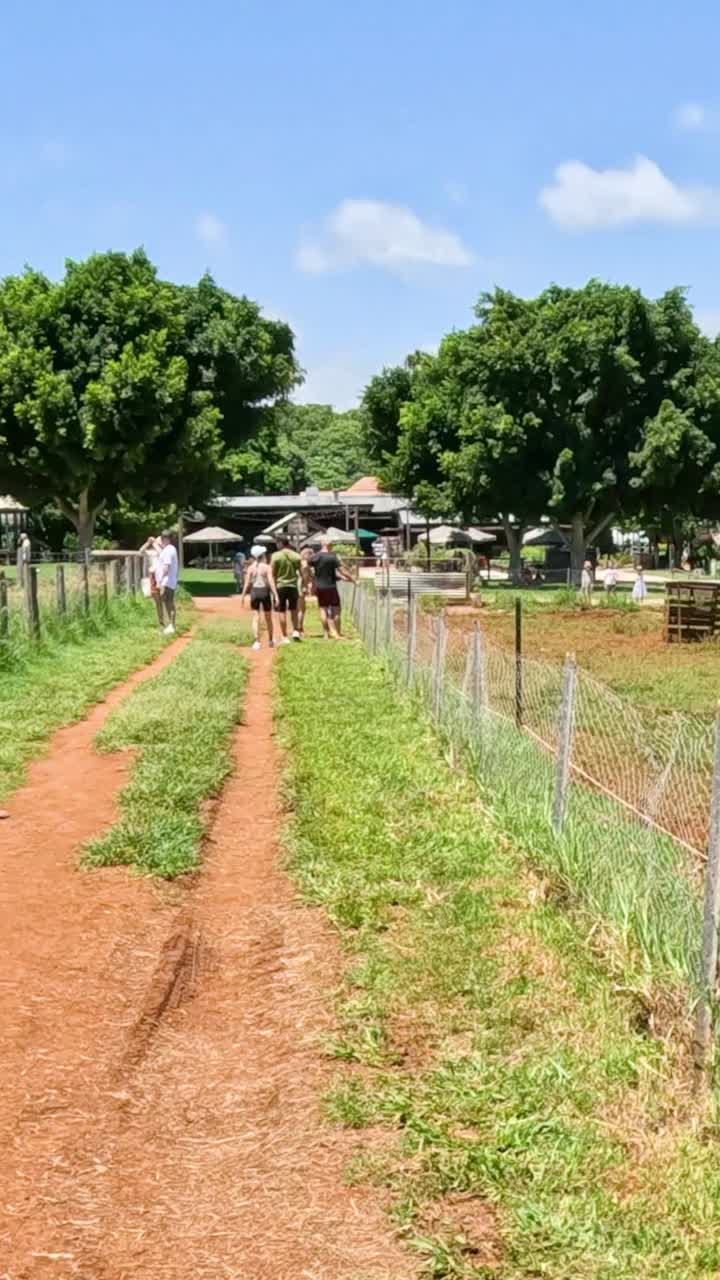 농장 문이 열리고 걸어가고 있습니다.