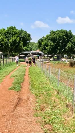 opening and walking through a farm gate