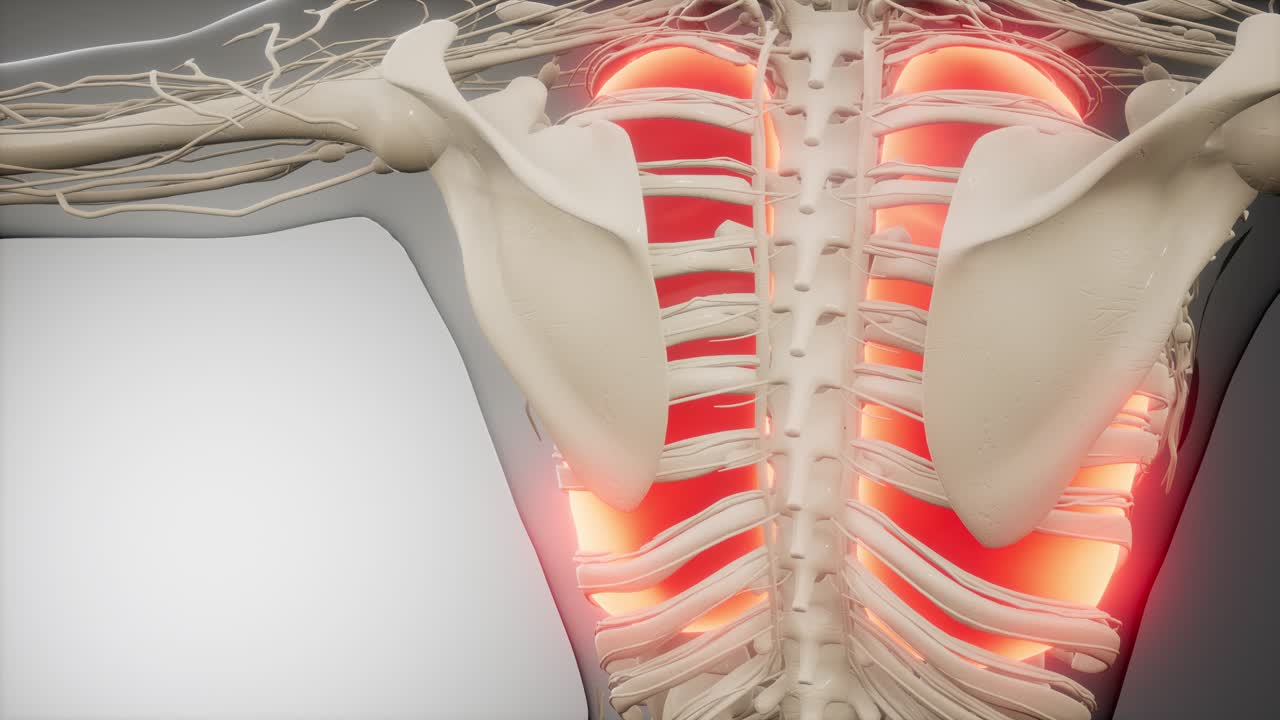 인간의 폐 방사선 검사