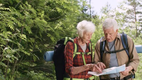 elderly hikers discussing route in forest