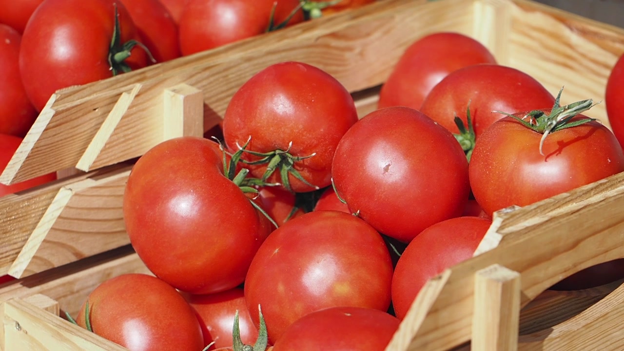 Fresh Ripe Red Tomatoes in Wooden Crates