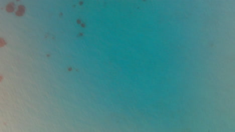 vista aérea del agua turquesa del océano y el arrecife de coral