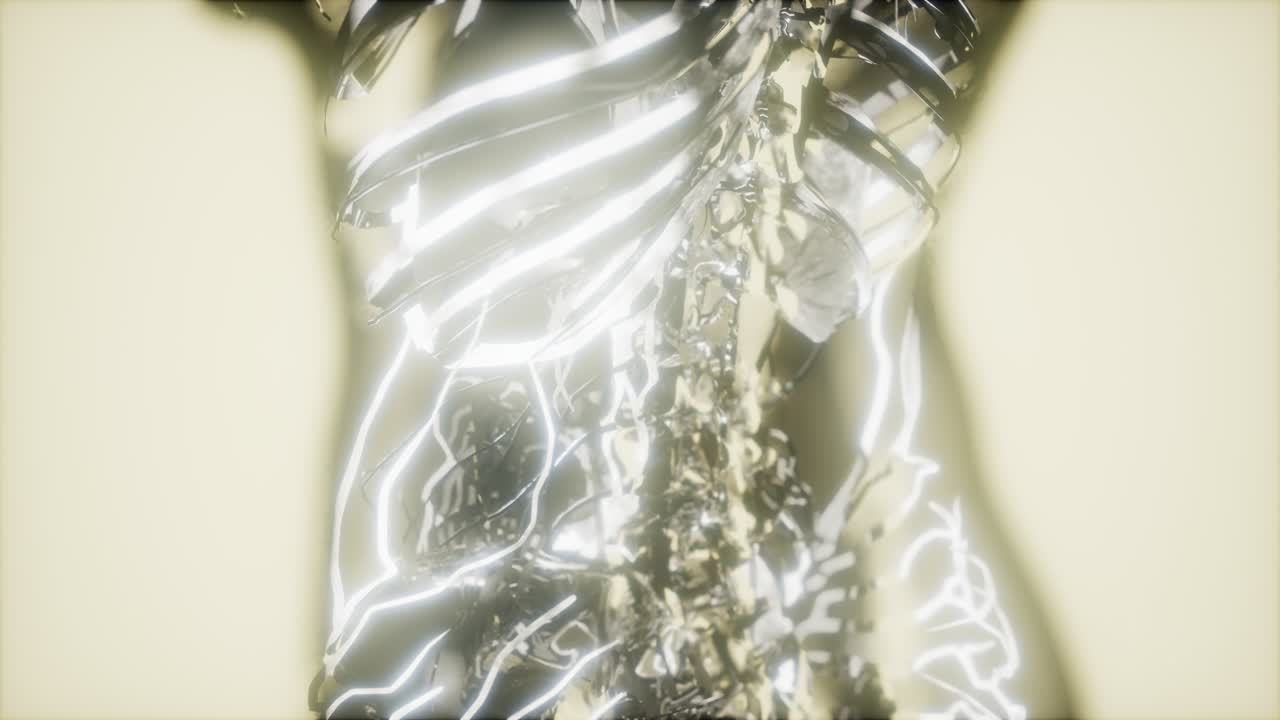 순환계의 혈관에 있는 혈액의 검사