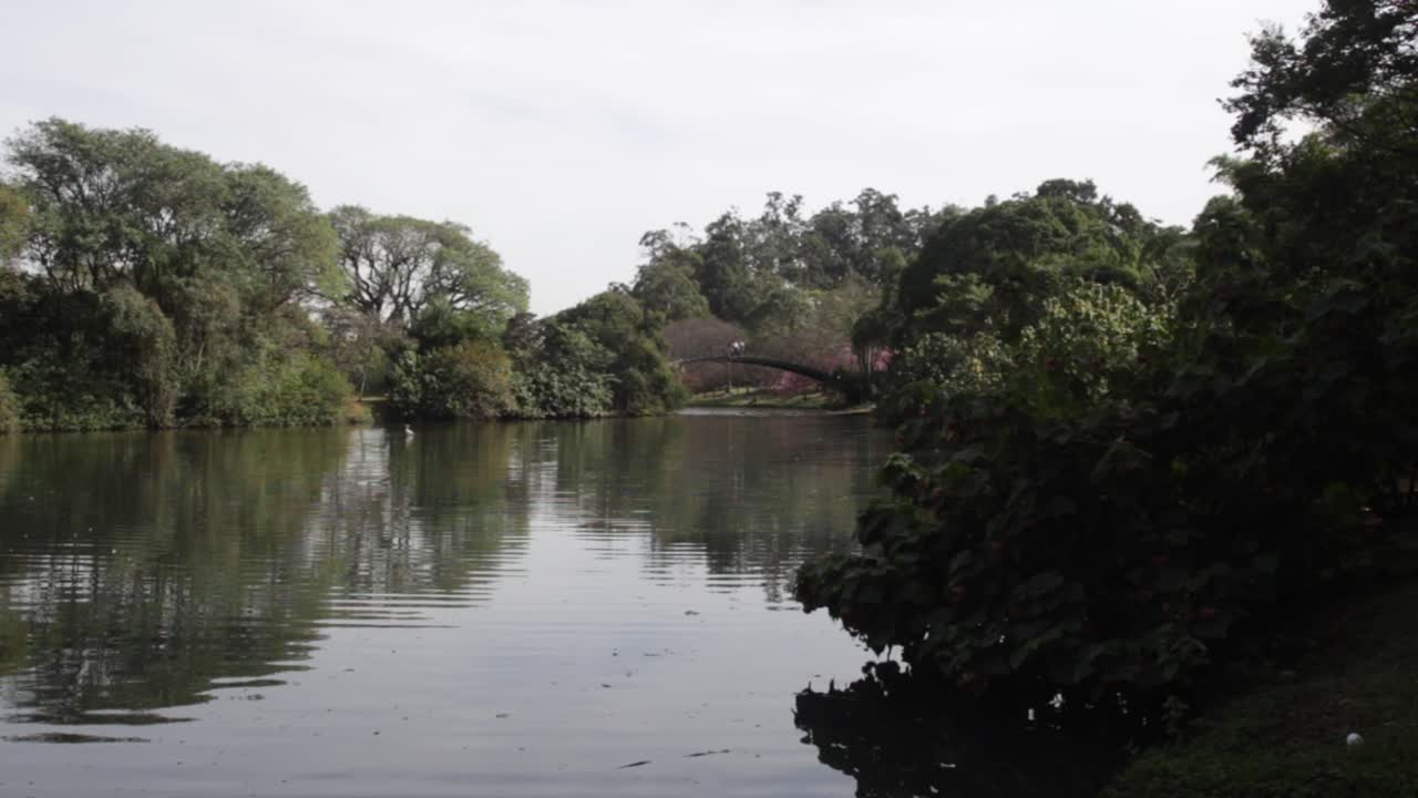 Bridge on river in Ibirapuera Park in Sao Paulo, Brazil