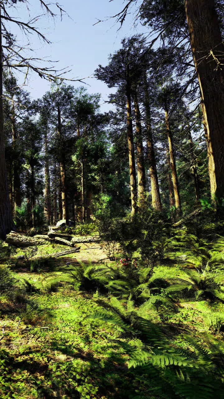 La luce del sole splende attraverso gli alberi in una foresta ricca di piante verdi