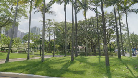 Una-Toma-De-Cardán-Captura-Un-Grupo-De-Plantas-Altas-Dentro-Del-Parque,-Creando-Una-Experiencia-Visual-Impactante-E-Inmersiva