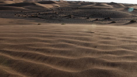 sand blowing in slow motion in middle eastern desert landscape near dubai in the united arab emirates with distant desert plants and sand dunes