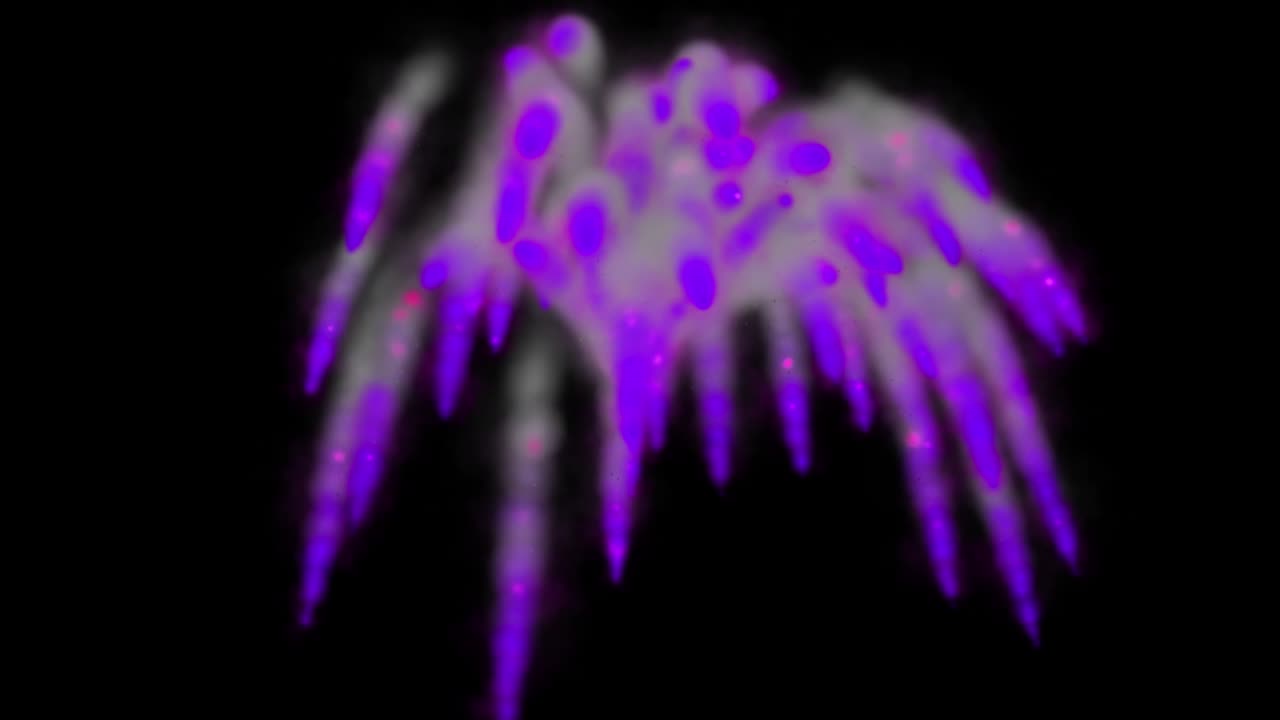 las partículas de color que soplan el humo animación gráficos de movimiento