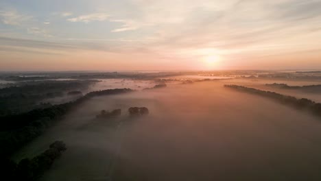 misty sunrise over a field and forest