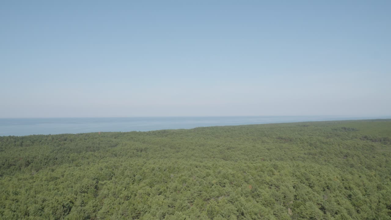 una vista panorámica desde la parte superior del faro de stilo, con vistas al bosque verde exuberante y al mar, mezclando la belleza de la naturaleza con el paisaje marítimo