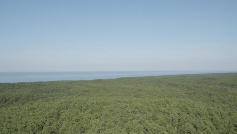 Ein-Panoramablick-Von-Der-Spitze-Des-Stilo-Leuchtturms-über-Den-üppigen-Grünen-Wald-Und-Das-Meer,-Der-Die-Schönheit-Der-Natur-Mit-Der-Maritimen-Landschaft-Verbindet