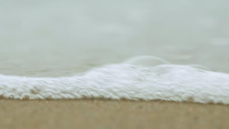 Seashells-on-the-white-sand-beach-in-summer,-calm-waves,-Baltic-sea-coastline,-summer-vacation,-relaxation,-ocean,-travel-concept,-low-closeup-shot,-shallow-depth-of-field