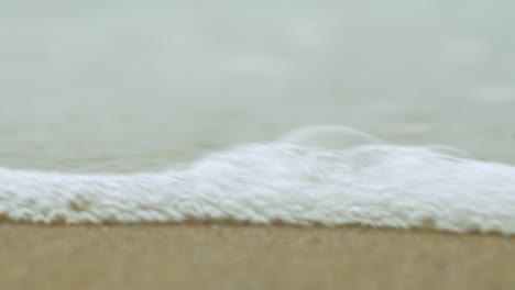 Seashells on the white sand beach in summer, calm waves, Baltic sea coastline, summer vacation, relaxation, ocean, travel concept, low closeup shot, shallow depth of field