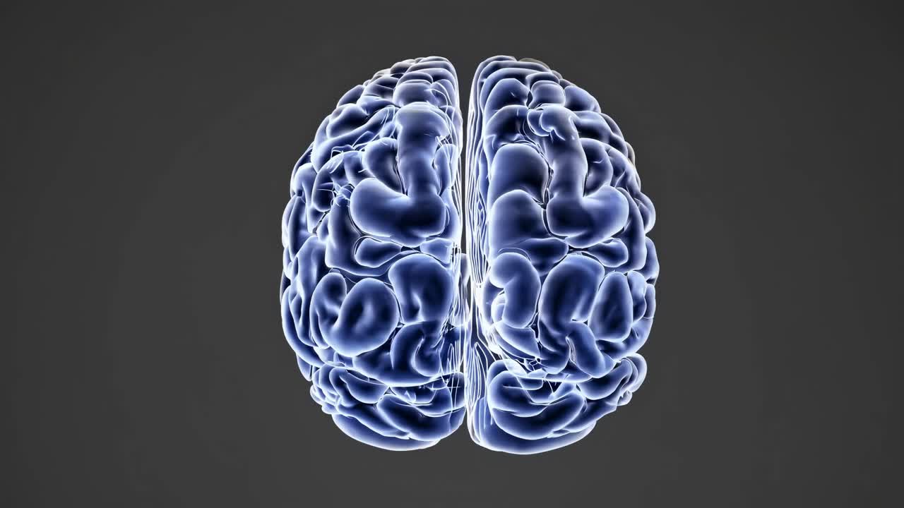 3D rendering of a human brain from a top-down angle, showcasing intricate details and symmetry
