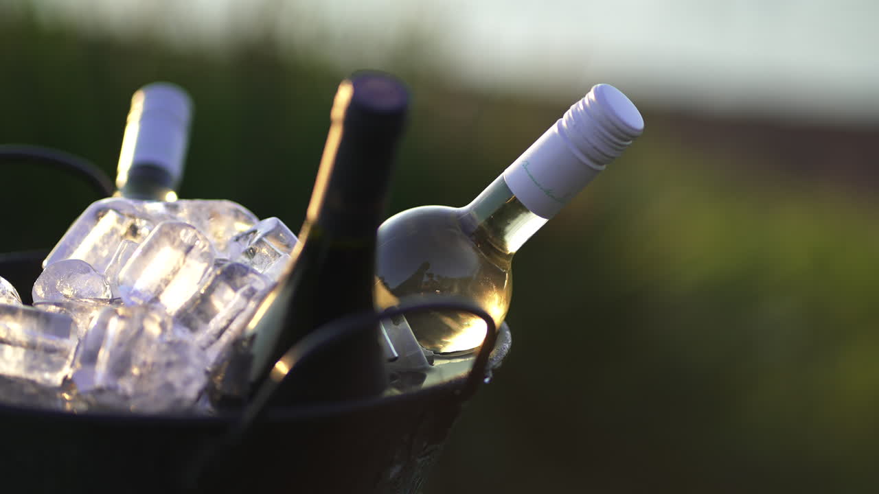 결혼식 행사에서 컵과 함께 얼음 버에 아르헨티나 와인 병, 슬로모