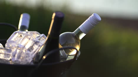 botellas de vino argentino en un cubo de hielo con vasos en un evento de boda, slowmo