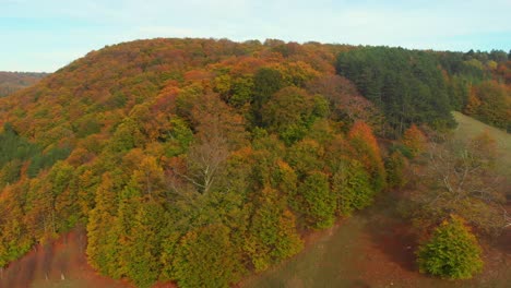 Volando-Sobre-Un-Bosque-En-Un-Día-Dorado-En-Octubre-Con-Colores-Otoñales