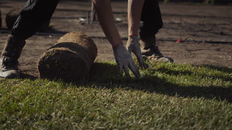 a team of workers lays a rolled lawn in the yard of the house