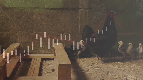 showing mother hen leading chicks across coop floor, candlestick bars moving along red trend line