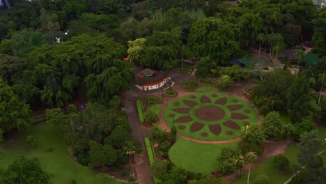 Locura-En-Forma-De-Flor-En-Los-Jardines-Botánicos-De-La-Ciudad-De-Brisbane-En-La-Orilla-Del-Río-Brisbane-En-Queensland,-Australia