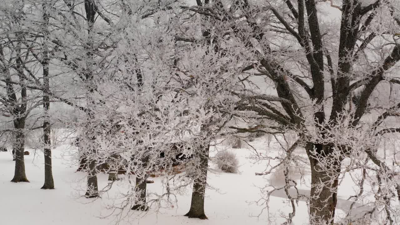 Aerial view of a family house in suburbs on a winter day. Drone shot flying through tree branches. White frost on trees in countryside landscape.