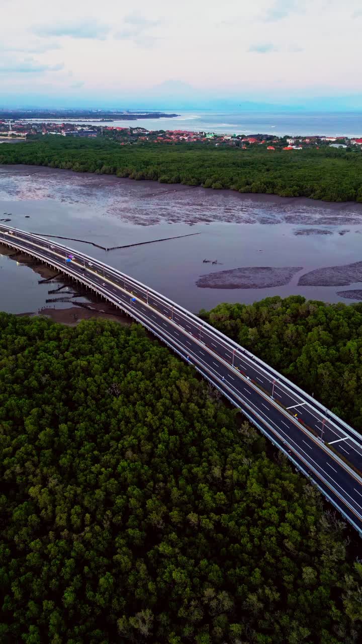 From above Bali Mandara Toll road stretches like a ribbon over mangrove forest and tidal mud during low tide while tropical landscape frames the modern bridge in striking drone perspective