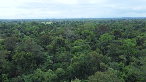 aerial image revealing a beautiful and dense jungle in the heart of mae hong son province, thailand