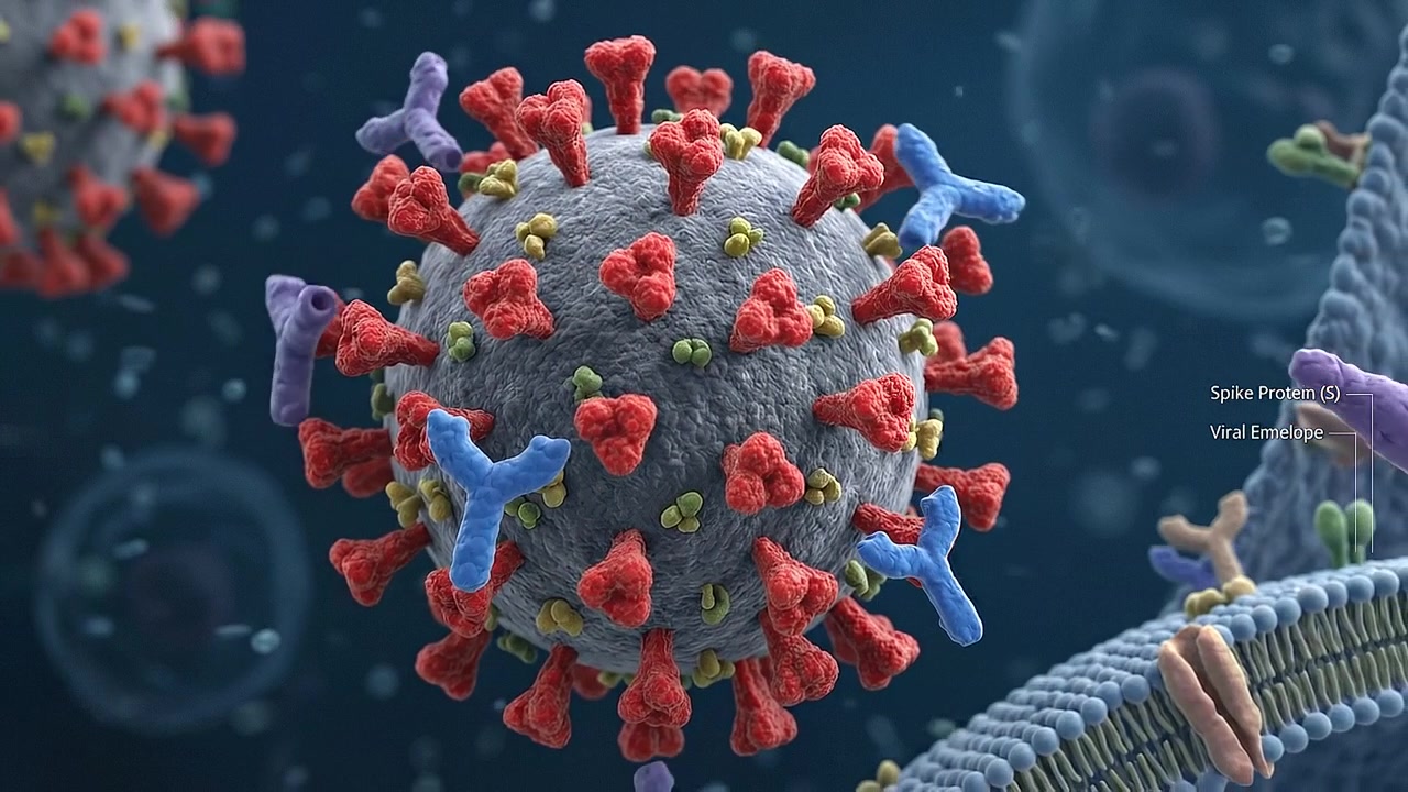 Microscopic Visualization of Spherical Pathogen and Virus Cells Moving in Fluid