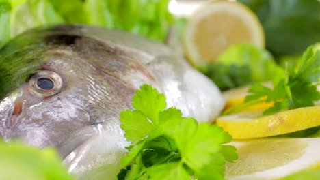 raw bream fish in lemon, parsley and salad