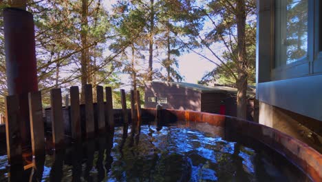 bañera de hidromasaje con chimenea con vistas a un bosque de pinos