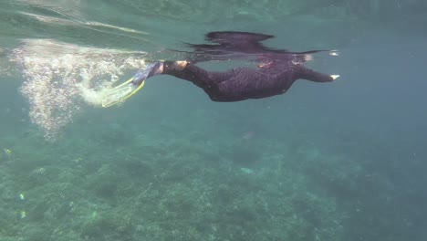 una mujer buceadora nada a través de las aguas claras y azules de la isla de kri en el archipiélago de raja ampat, indonesia
