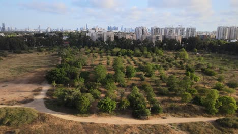 vista aérea mirando a través del parque de la independencia hacia el horizonte de la ciudad de tel aviv