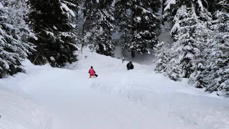 Los-Jinetes-De-Trineo-Bajan-Por-La-Pista-De-Trineo-En-El-Paisaje-Invernal